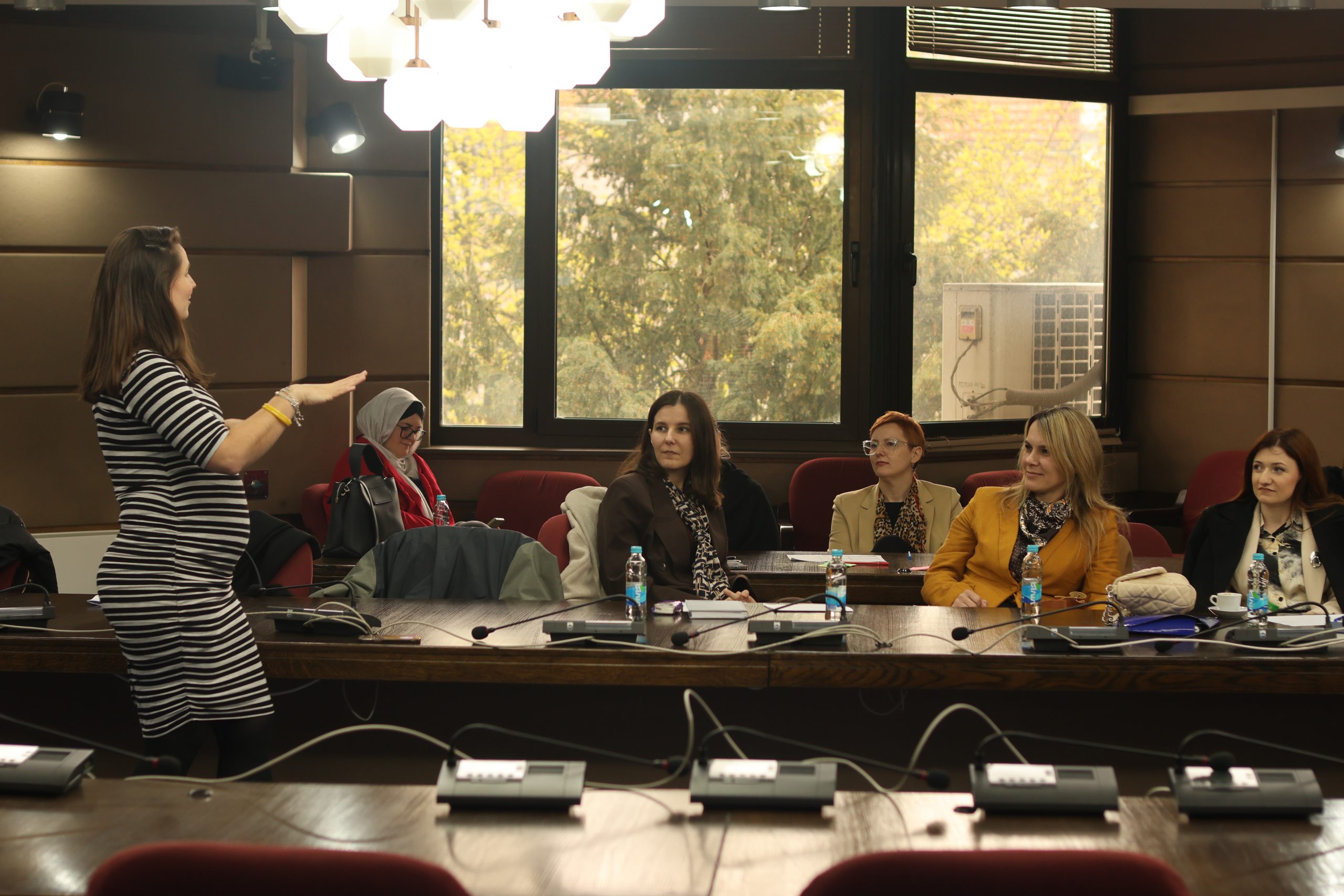 Workshop in Sarajevo, facilitator Shelley + workshop participants.